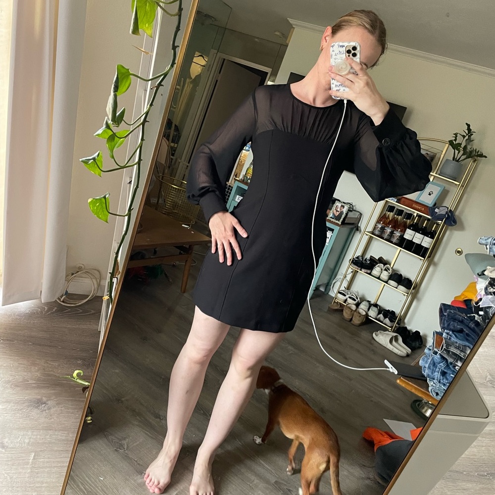Anthropologie black midi dress with see through sleeves. Size 6.